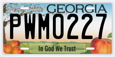 GA license plate PWM0227