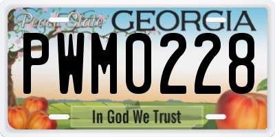 GA license plate PWM0228