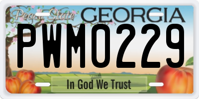 GA license plate PWM0229