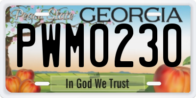 GA license plate PWM0230