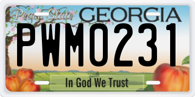 GA license plate PWM0231