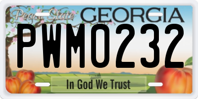GA license plate PWM0232