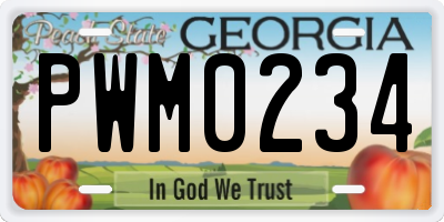 GA license plate PWM0234
