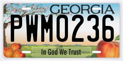 GA license plate PWM0236