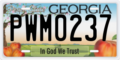GA license plate PWM0237