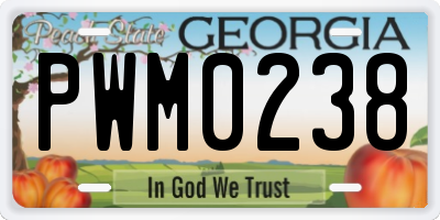 GA license plate PWM0238
