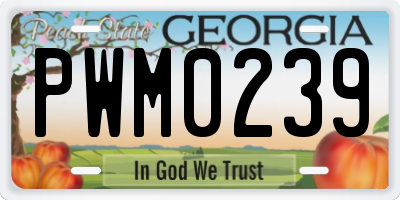GA license plate PWM0239