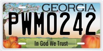 GA license plate PWM0242