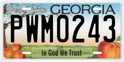 GA license plate PWM0243