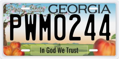 GA license plate PWM0244