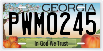GA license plate PWM0245