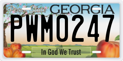 GA license plate PWM0247