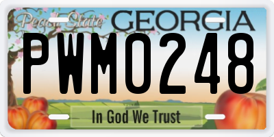 GA license plate PWM0248
