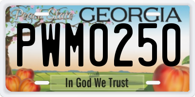 GA license plate PWM0250