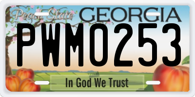 GA license plate PWM0253