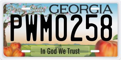 GA license plate PWM0258