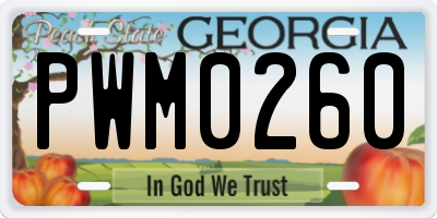 GA license plate PWM0260