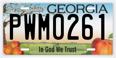 GA license plate PWM0261