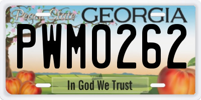 GA license plate PWM0262