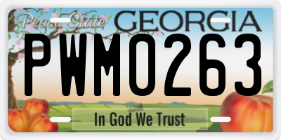 GA license plate PWM0263