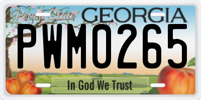 GA license plate PWM0265