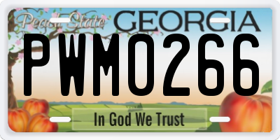 GA license plate PWM0266