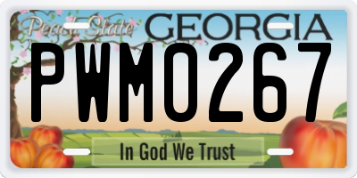 GA license plate PWM0267