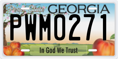 GA license plate PWM0271