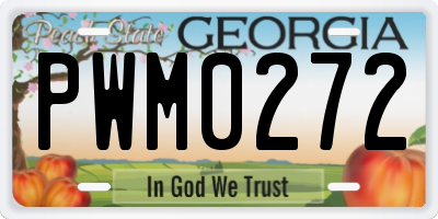 GA license plate PWM0272