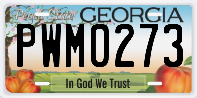 GA license plate PWM0273