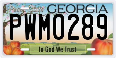 GA license plate PWM0289
