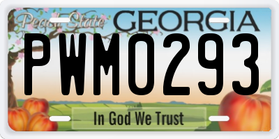 GA license plate PWM0293