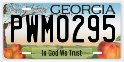 GA license plate PWM0295