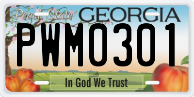 GA license plate PWM0301