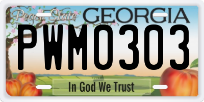 GA license plate PWM0303