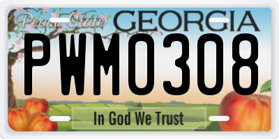 GA license plate PWM0308