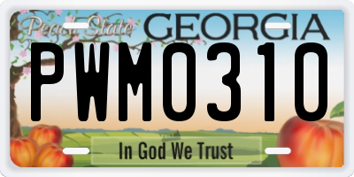 GA license plate PWM0310