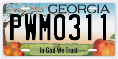 GA license plate PWM0311