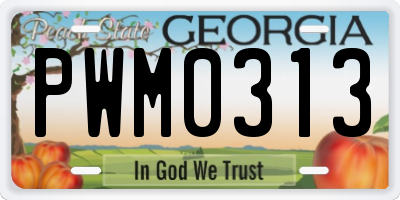 GA license plate PWM0313