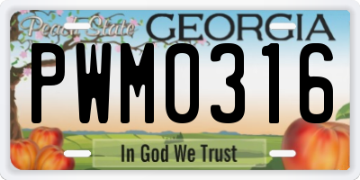 GA license plate PWM0316