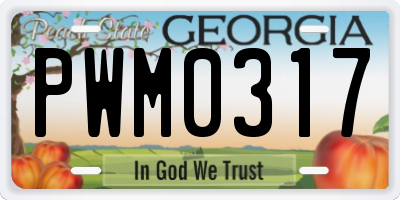 GA license plate PWM0317