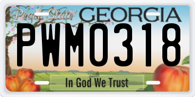 GA license plate PWM0318