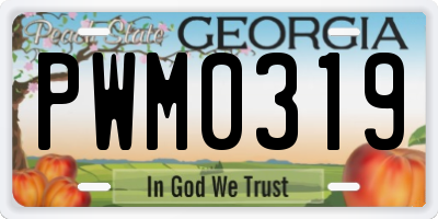 GA license plate PWM0319