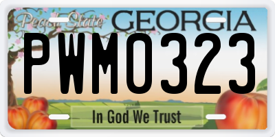 GA license plate PWM0323