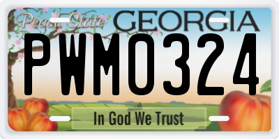 GA license plate PWM0324