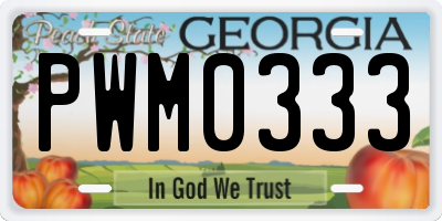 GA license plate PWM0333