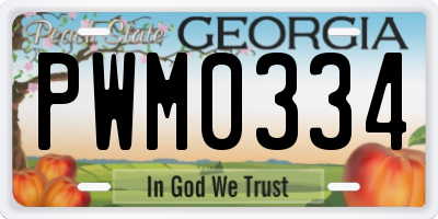 GA license plate PWM0334