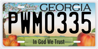 GA license plate PWM0335