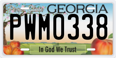 GA license plate PWM0338
