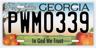 GA license plate PWM0339